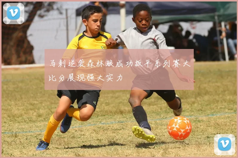 马刺逆袭森林狼成功扳平系列赛大比分展现强大实力