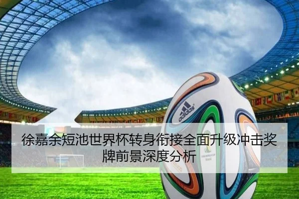 徐嘉余短池世界杯转身衔接全面升级冲击奖牌前景深度分析